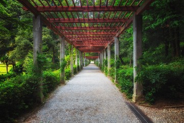 Green path in beautiful garden angle shot