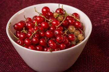  Berry summer still life with ripe red and white currants