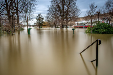 Île de la cité