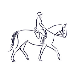 dressage horses, show jumping, vector sketch