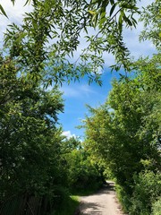 This is a series of several days, assembled in a blue sky tone. Amazing feelings. The mood at that moment was very cool! Location Lviv - Ukraine / Photo on iPhone XS Max