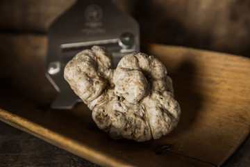 White Truffle on wood background with Truffle Slicer