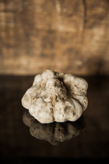 White Truffle on wood background