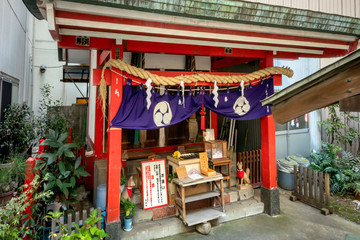 Fototapeta premium 讃岐小白稲荷神社