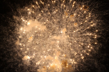 Beautiful evening view of firework burst crackers in the sky celebration city birthday.