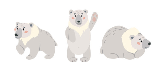 Set of cute cartoon polar bear. Arctic white bears isolated on white background. Vector illustration set.