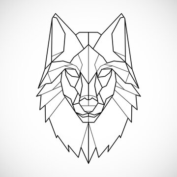 2 567 Best Geometric Wolf Head Images Stock Photos Vectors Adobe Stock