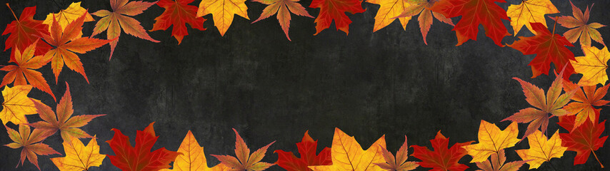 autumn – frame of colorful leaves isolated on a black concrete texture – background panorama banner long