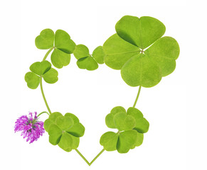 four element clover leaf in green heart symbol