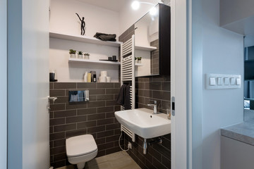 Interior of modern bathroom with shower