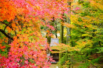 那谷寺の紅葉