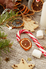 Fototapeta na wymiar Nice winter holidays still life on a gray knitted background with gingerbread, spruce branches, dried citruses, pumpkin, Christmas canes, burning candles and lights.