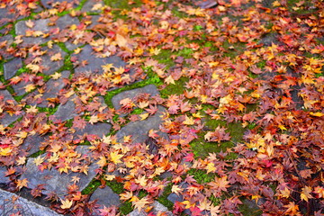 那谷寺の紅葉