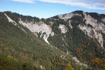 NB__9789 Mountain range with forest in autumn