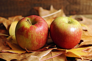Pair of red apples on autumn leaves