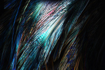 Abstract  art of beautiful paint of feather for texture background and design,Colorful and fancy colored