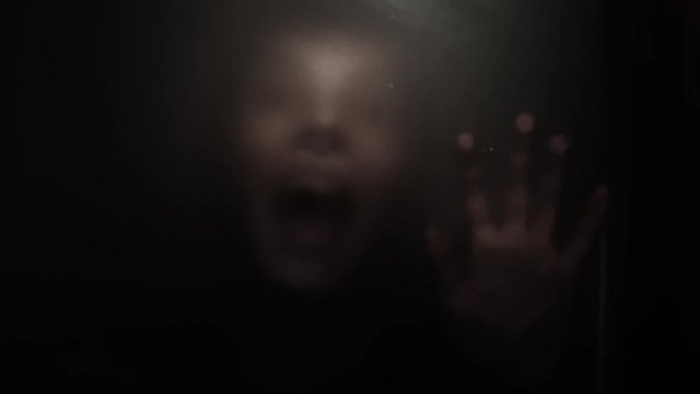 scary video of a zombie girl behind a glass door, scratching and screaming with the flashing light. It looks blurry and dark.