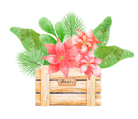 Watercolor hand drawn illustration of Christmas bouquet arranged from pink red poinsettia, fir branch, mix of plants in wooden box isolated on white background. Cute holiday greenery.