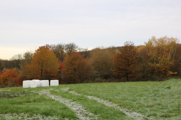 Verpackte Strohballen oder Heuballen in der Natur im November