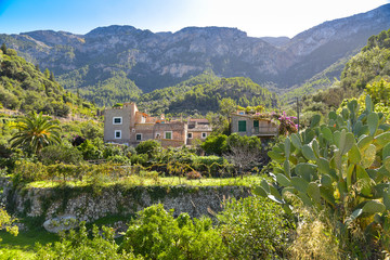 Fototapeta na wymiar Häuser bei Deia / Insel Mallorca
