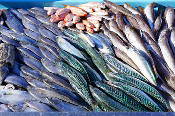 Fresh fish for making bouillabaisse soup for sale at a fish market on the Vieux Port in Marseille, France