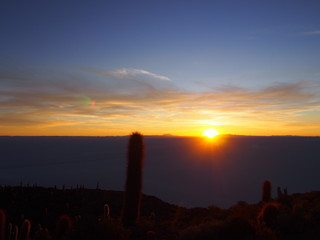 Spectacular sunrise from the top of Isla Incahuasi, Isla Incahuasi is an island in a sea of salt covered with giant Trichocereus cacti, Uyuni salt lake (Salar de Uyuni), Uyuni, Bolivia