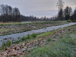 Park w Białowieży wieczorem.