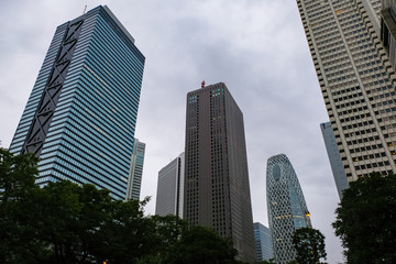 Fototapeta na wymiar 西新宿 高層ビル群 曇天