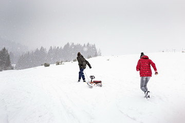 sled or ski winter sports activity, snow forest in snowfall cold, walk outdoor play fun