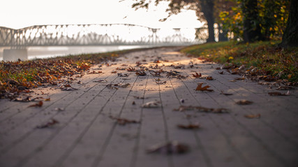 autumn in the park