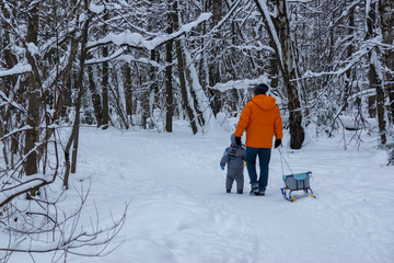 father and son walking in the snow forest with a sled