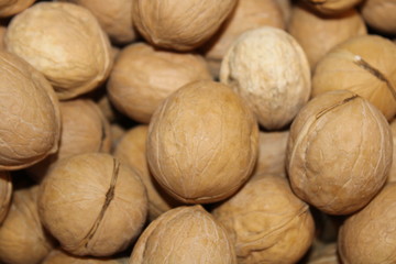 walnuts in a shell background