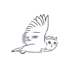 sketch of a hand drawn owl flying 