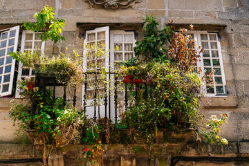 Fototapeta na wymiar Window with many plants