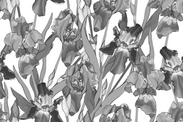 Seamless pattern with monochrome flowers and leaves on white. Hand drawn. Floral background with black and white irises for prints, textile, web pages. Realistic style. Vector stock illustration.