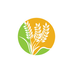 Agriculture Wheat logo template vector icon design