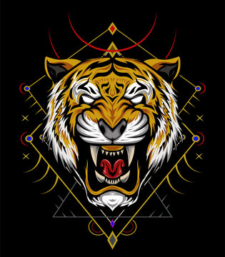 Tiger head illustration. Vector tiger. design for T shirt , mascot, logo team, sport, metal printing, wall art, sticker