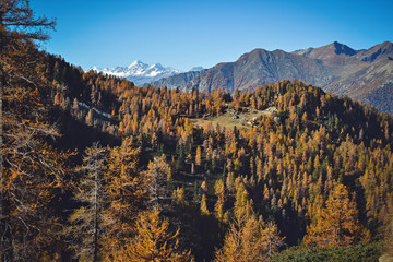 coloroful autumn mountains landscape, italian Alps