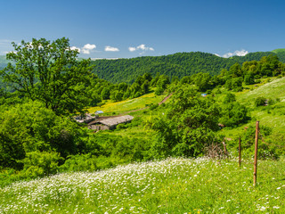 Summer mountain landscape with a farm in a beautiful valley.