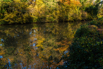 Autumn colours reflected in the River Medway in Kent