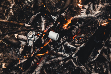 Marshmallows roasting on the camp fire and getting nicely golden brown.