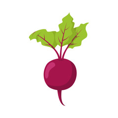 Vector illustration of a funny beet in cartoon style.