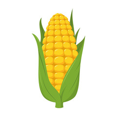 Vector illustration of a funny corncob in cartoon style.