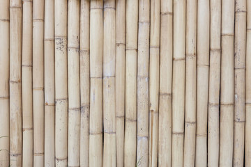 bamboo wooden backgrund