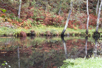 Circular route that runs along the Arenteiro river by O Carballiño in Ourense Spain