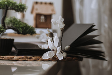 open black notebook for notes with a flower on the sheets on a wicker stand against the background of a green tree in a pot on the windowsill