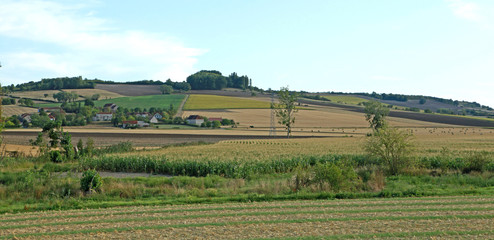 Fototapeta na wymiar Paysage agricole en Auvergne