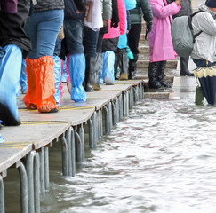 people in Venice during the record flood with plastic gaiters in