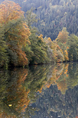 Fototapeta na wymiar Schwarzwald Landschaft mit bunten Blättern im Herbst mit Bergen, Fluss und Spiegelung in Wasser