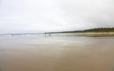 The coast of the Pacific Ocean after the storm in the foggy morning. Logs and driftwood on the Tofino Long Beach ( year-round surfing )Vancouver Island. British Columbia, Canada